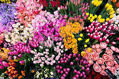 国产真人互动游戏《完蛋 我被美女包围》10月18发售